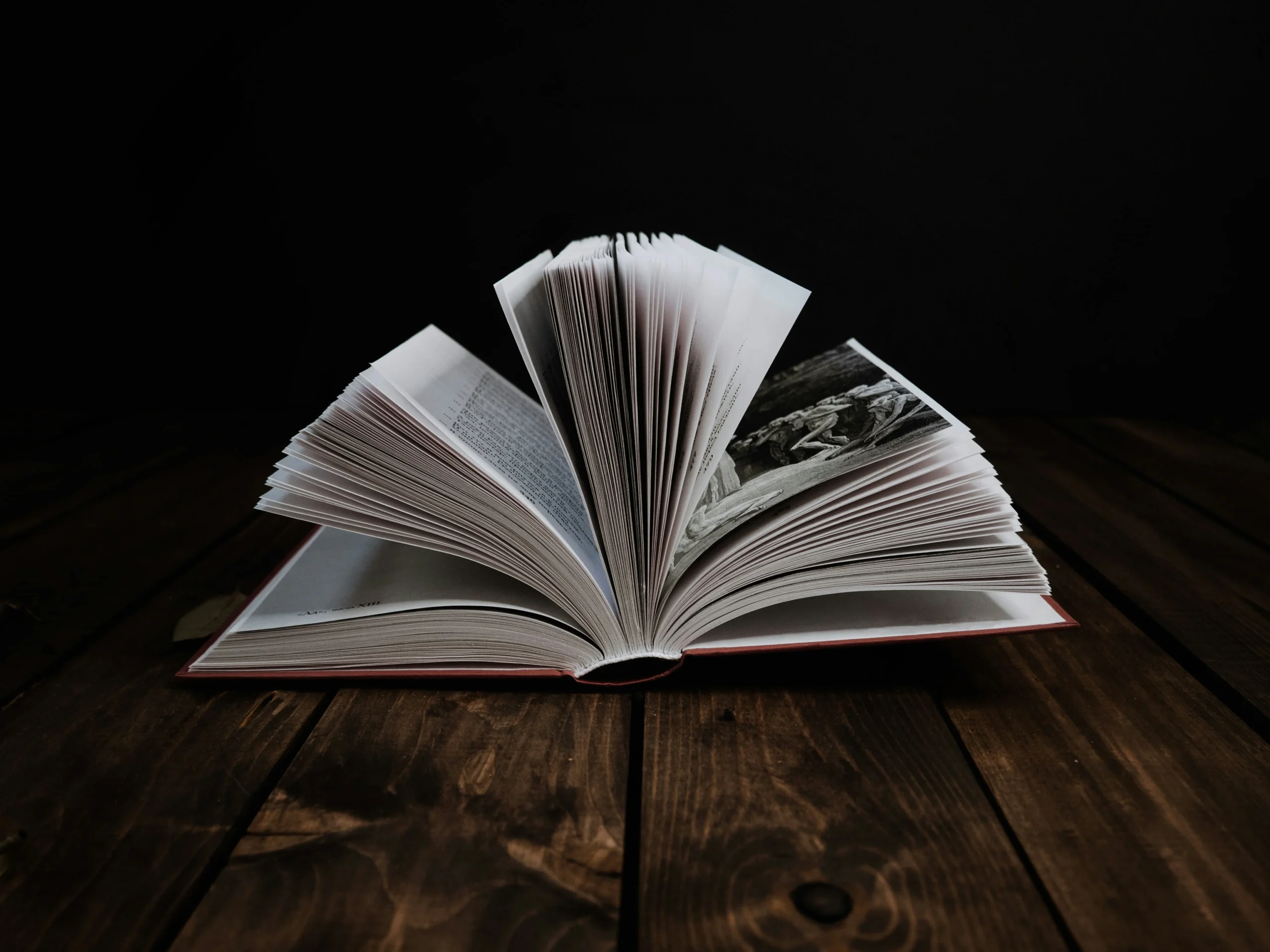 An open book portraying how to self publish a book guide